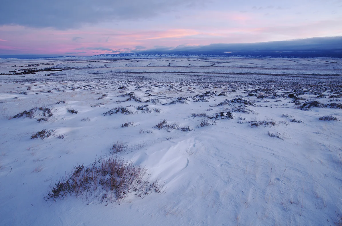 ArapahoNWRwinter_NWCO.jpg