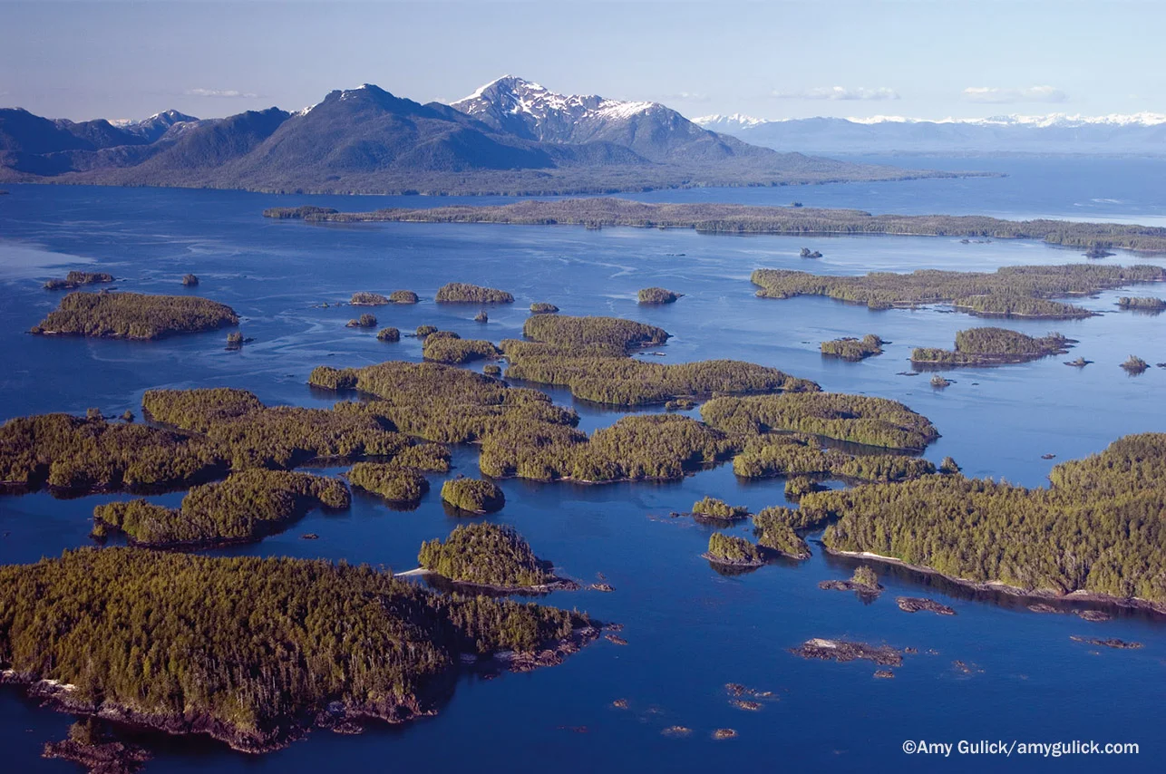 Aerial SITT_web.jpg