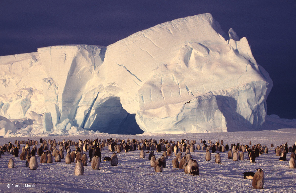 Antarctica1-3_WEB.jpg