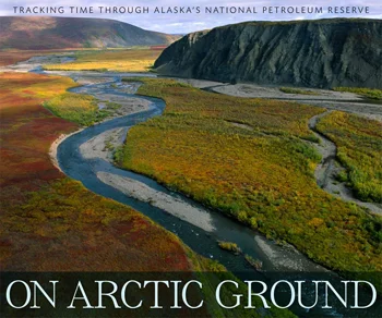 On-Arctic-Ground_350x292.jpg