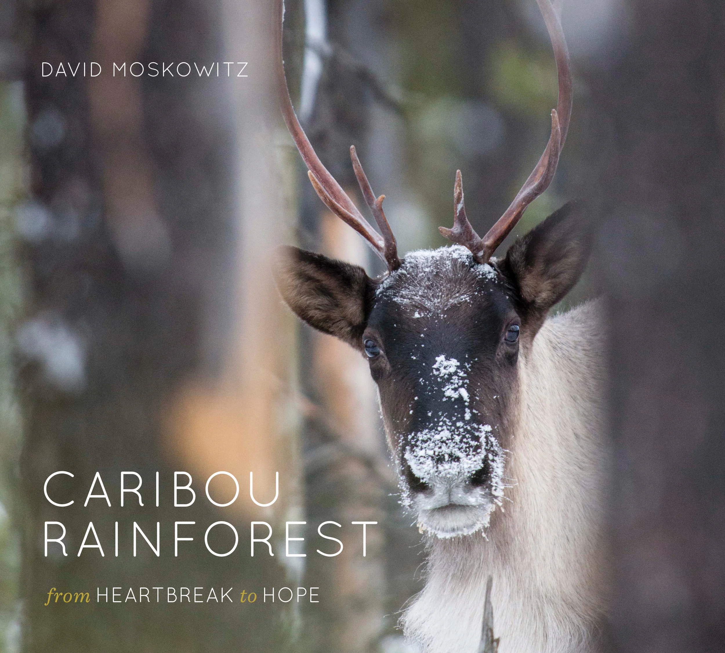 BeWild: David Moskowitz & "Caribou Rainforest"