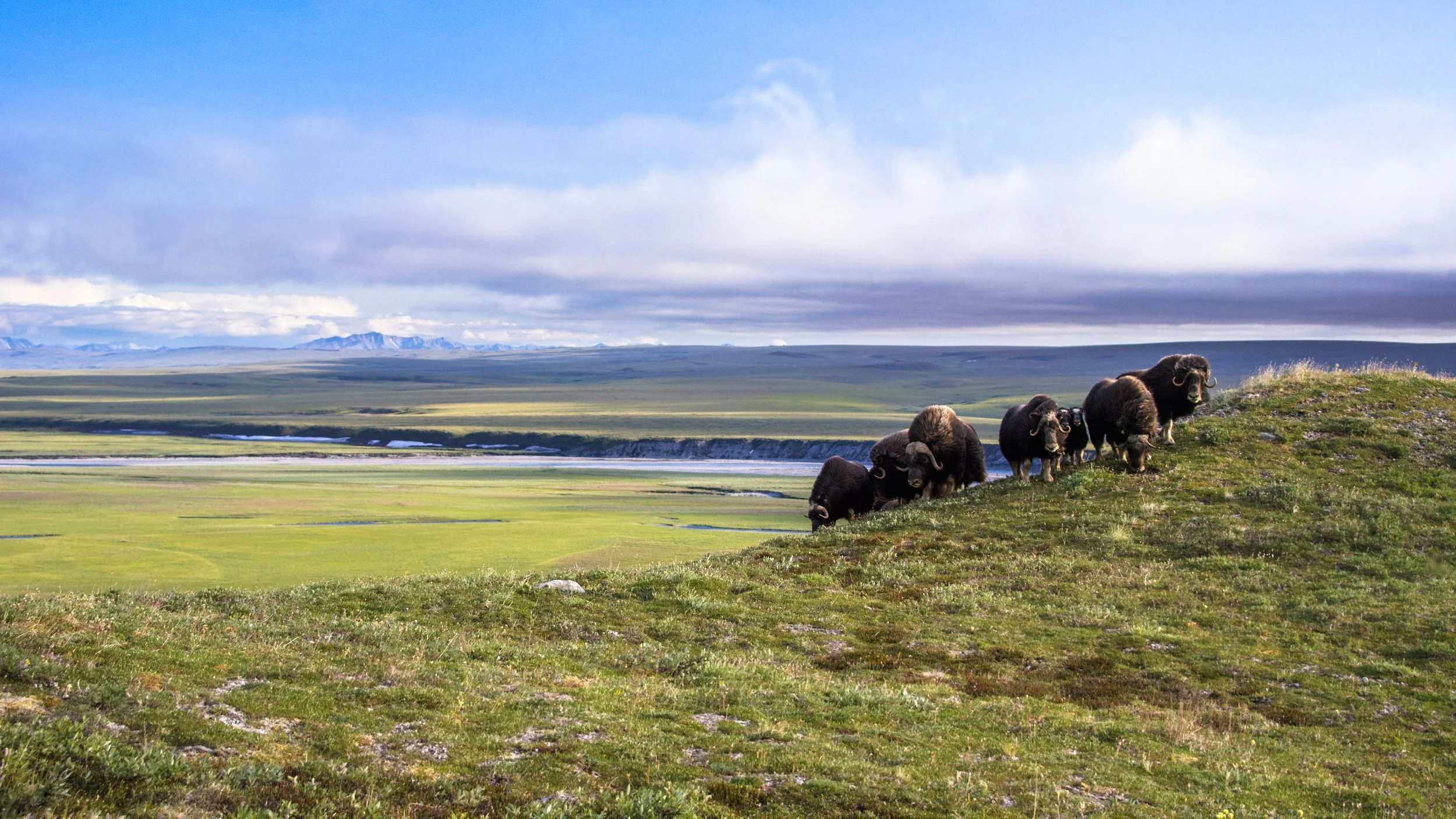 Braided River 20 Years of Arctic Advocacy