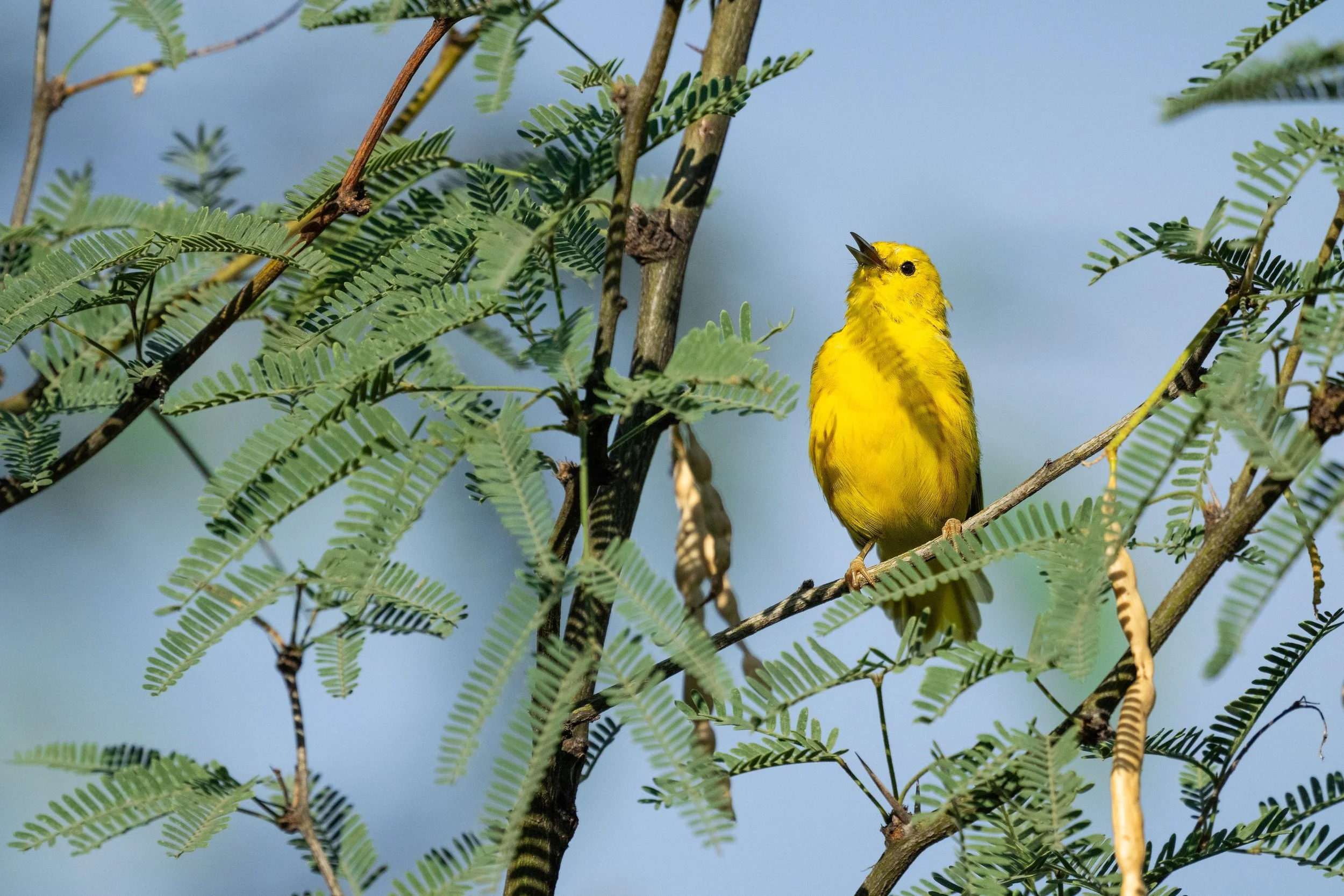 April E-News: Celebrating Earth Month