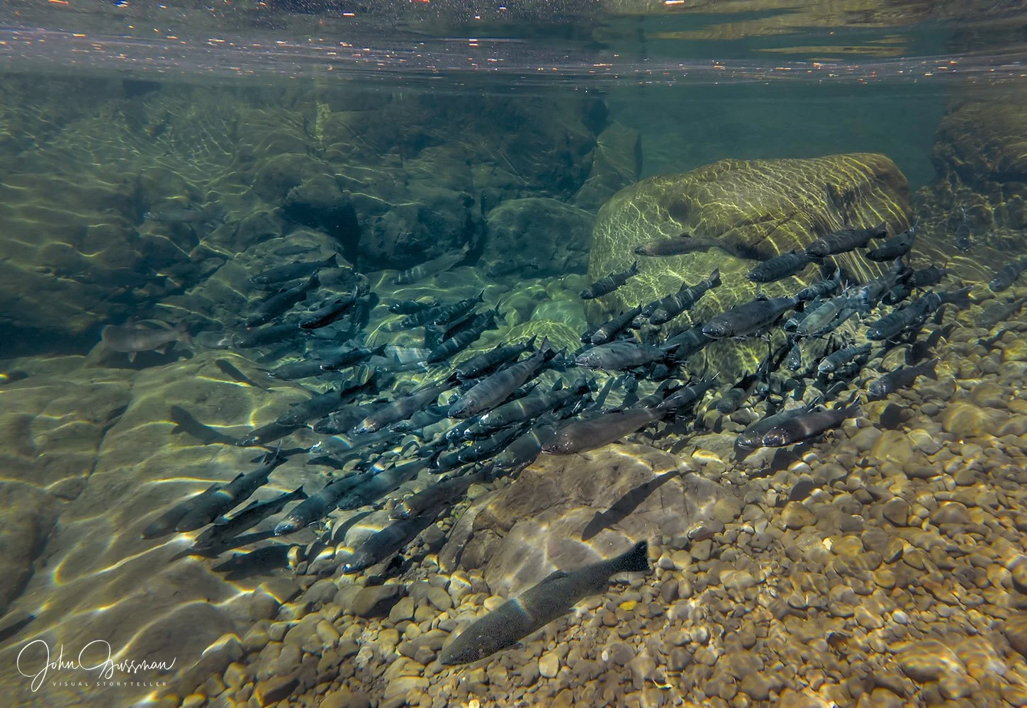 September E-News: Back to School