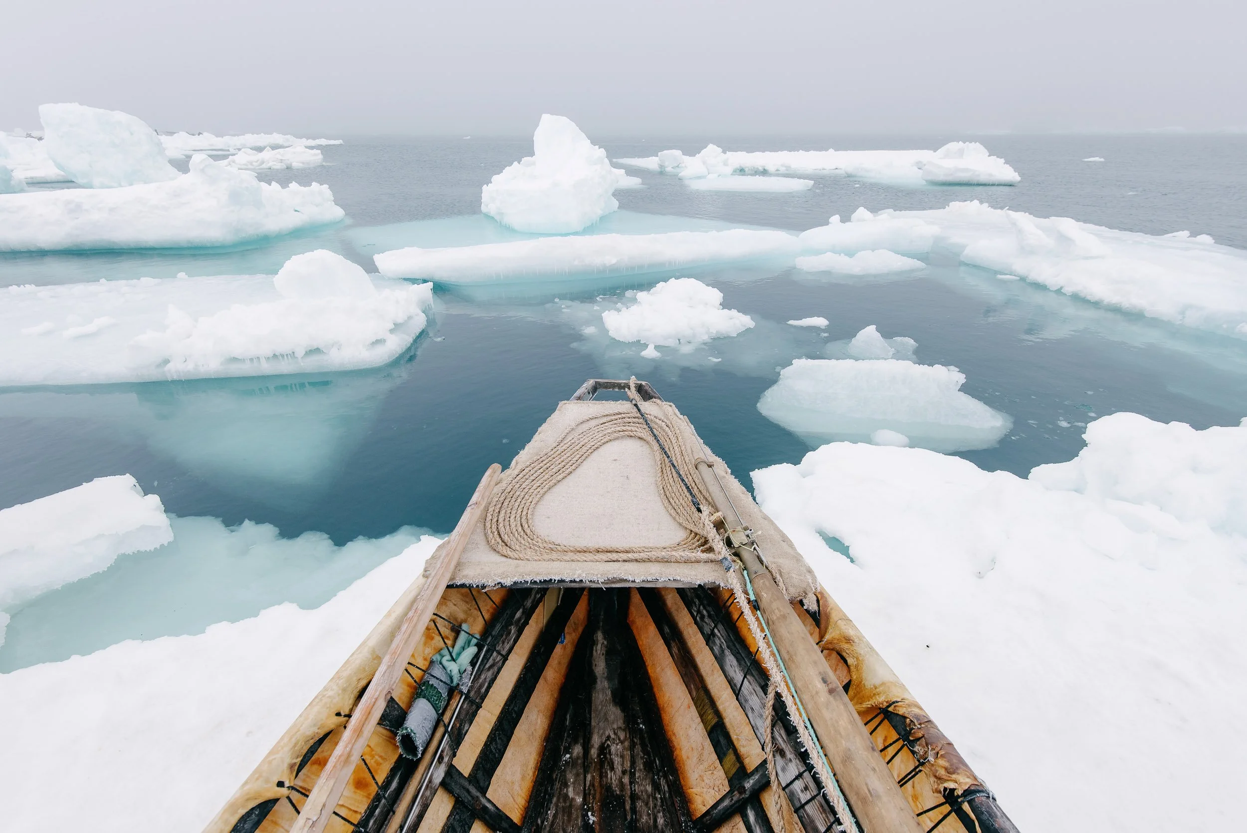 January E-News: New Year, Renewed Commitment to Sacred Lands and Waters