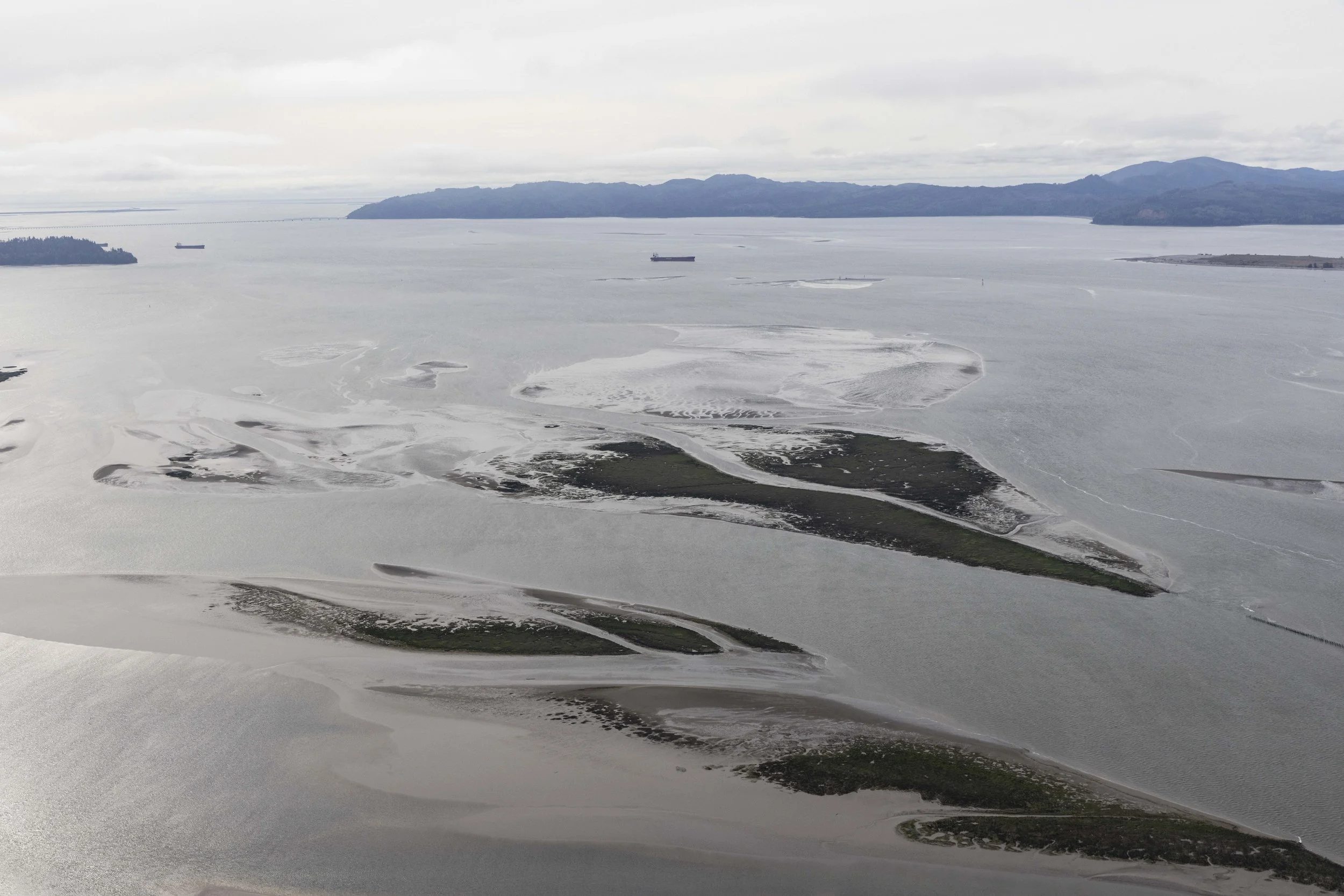 RENEWAL: A Journey Through the Big River with David Moskowitz 