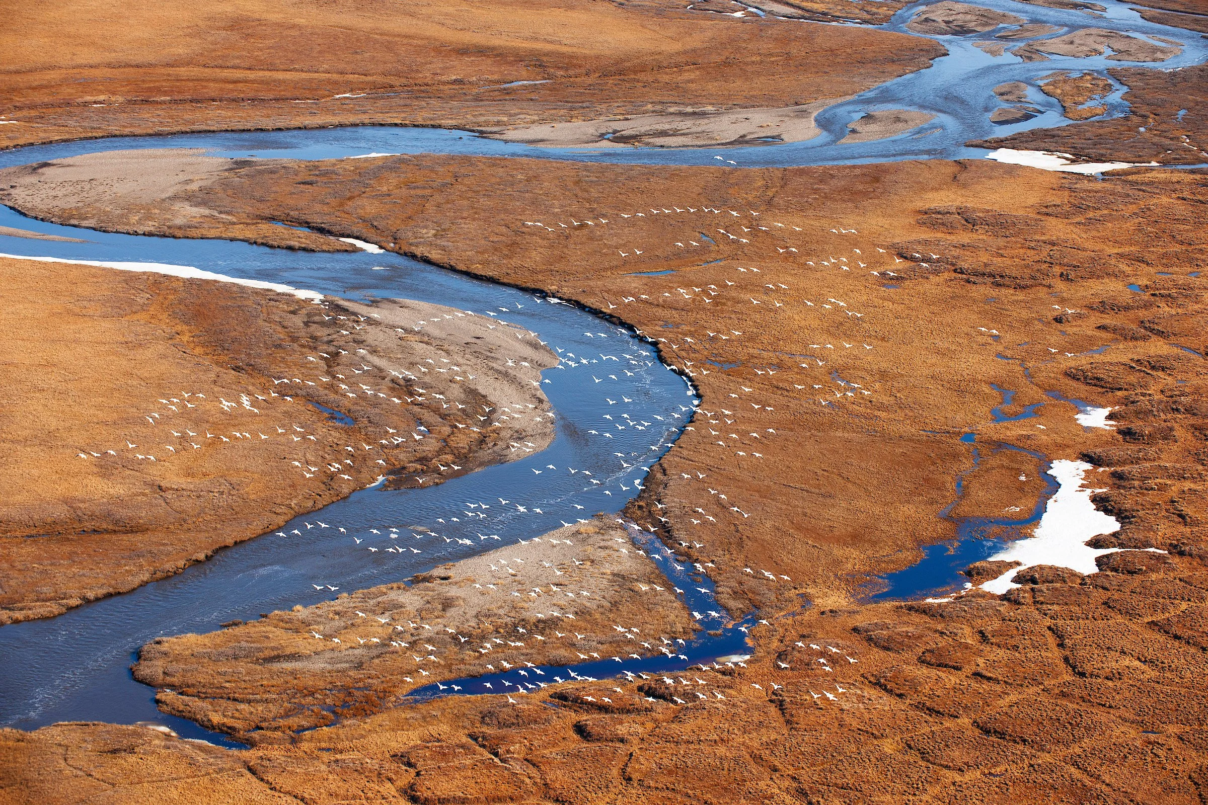 America's Arctic: Too Precious to Lose with Lynda Mapes
