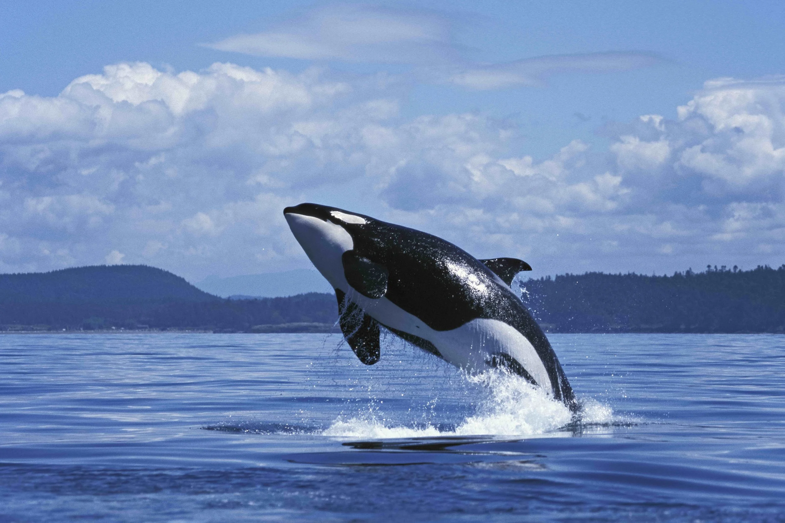 June E-News: Shared Waters, Shared Home