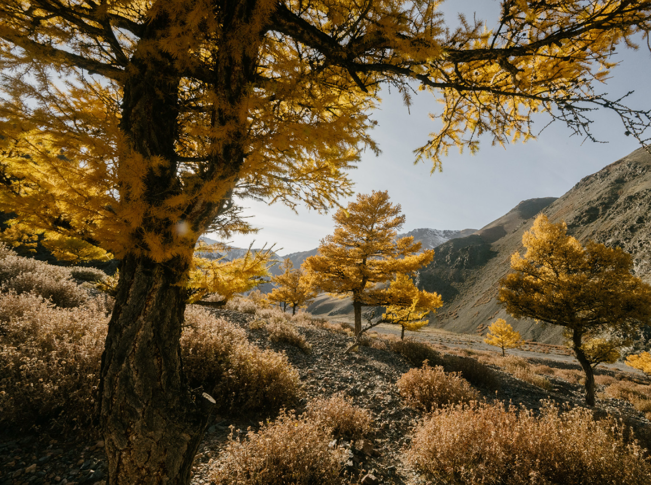 October E-News: Autumn in Action