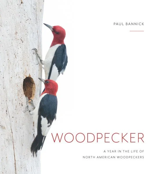 Woodpecker Book Launch | Town Hall Seattle