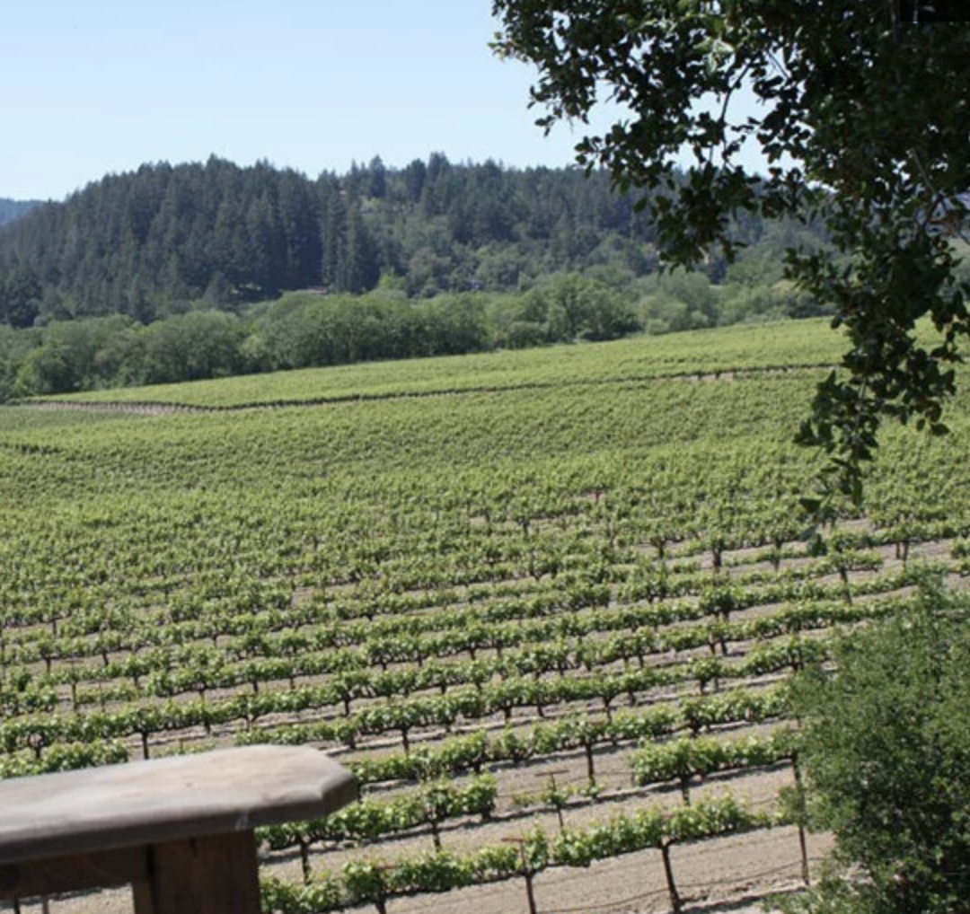 Food &amp; Wine 2016