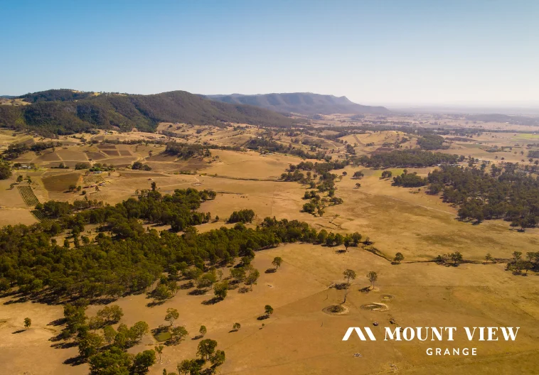 bellbird-hotspot-header-image.jpg