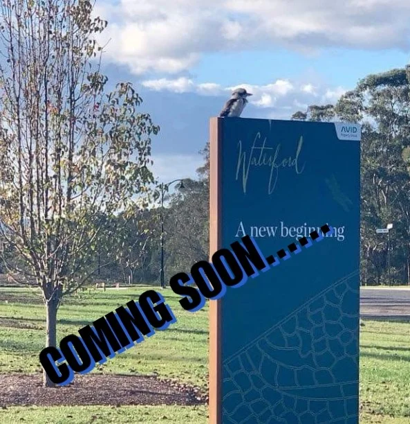 Coming soon.jpg