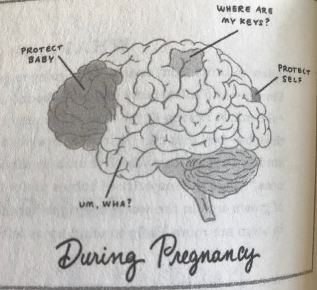 image3.jpeg