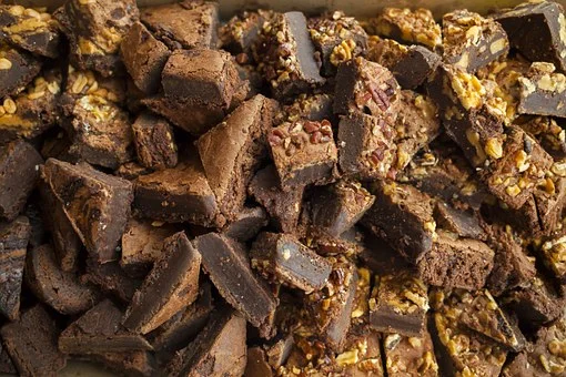 Coconut Chocolate Fudge