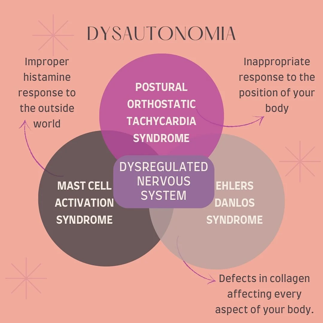 The nervous system triad 🔺
POTS 🌀 MCAS 🤧 EDS 🧘🏻
These 3 disorders tend to roll together, if you have 1, you&rsquo;re more likely to have another. And, even if you don&rsquo;t have the others yet, you&rsquo;re likely to develop them in the future