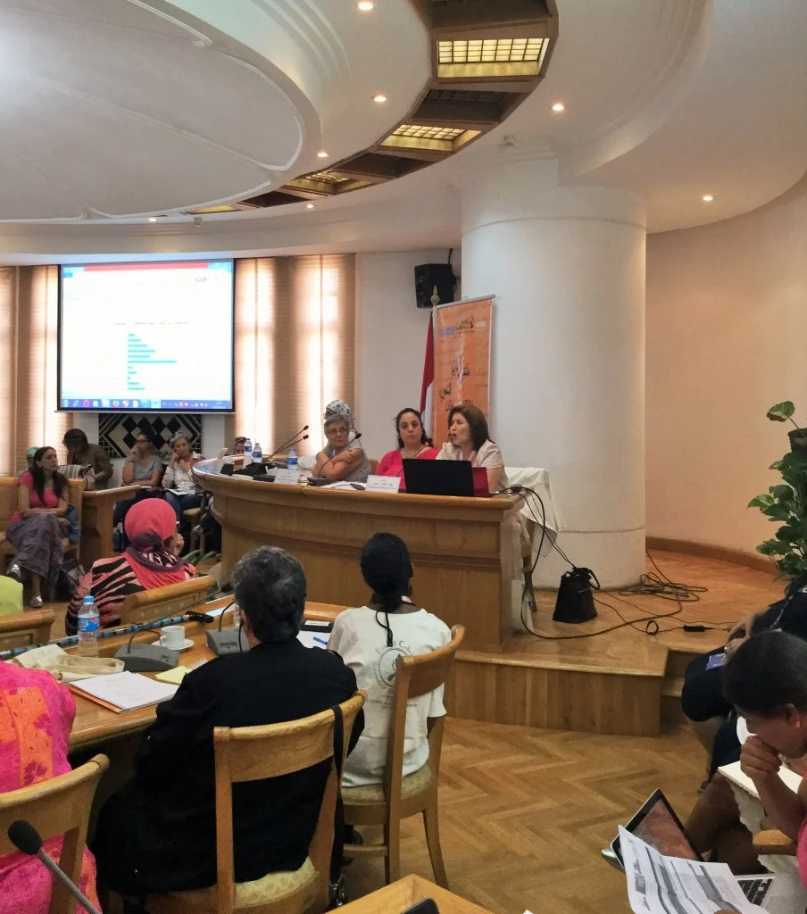 Panel participants fielding questions from the audience (Photo courtesy of Alaa Hameed, 2015)