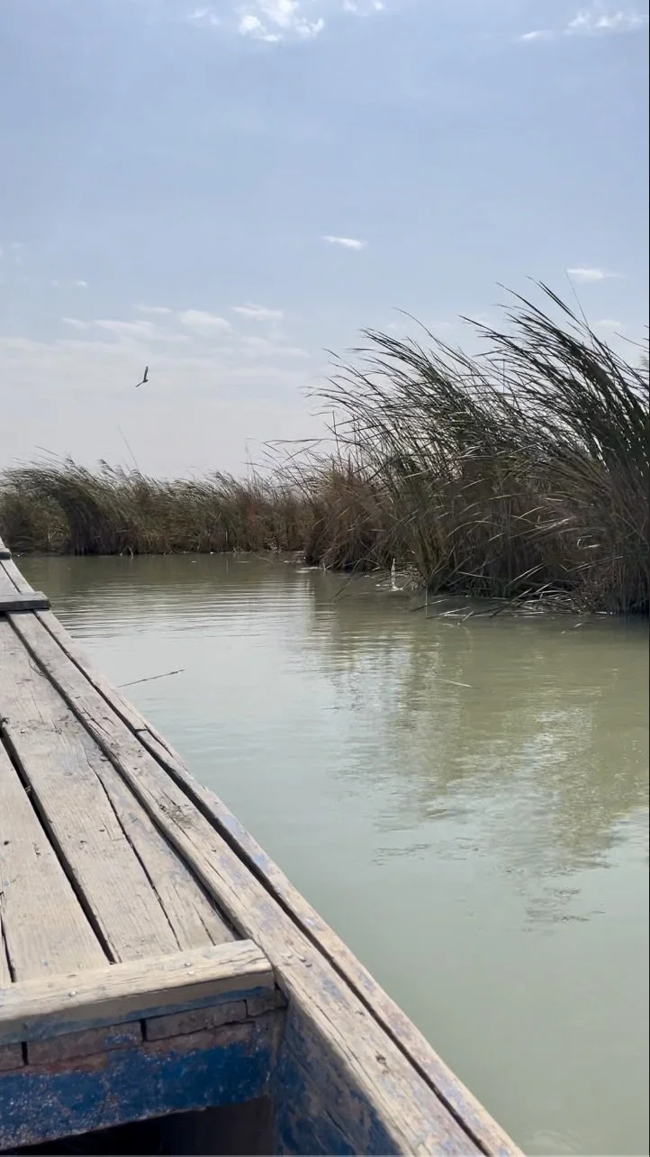 Screenshot 2024-03-26 at 13.47.01.jpeg