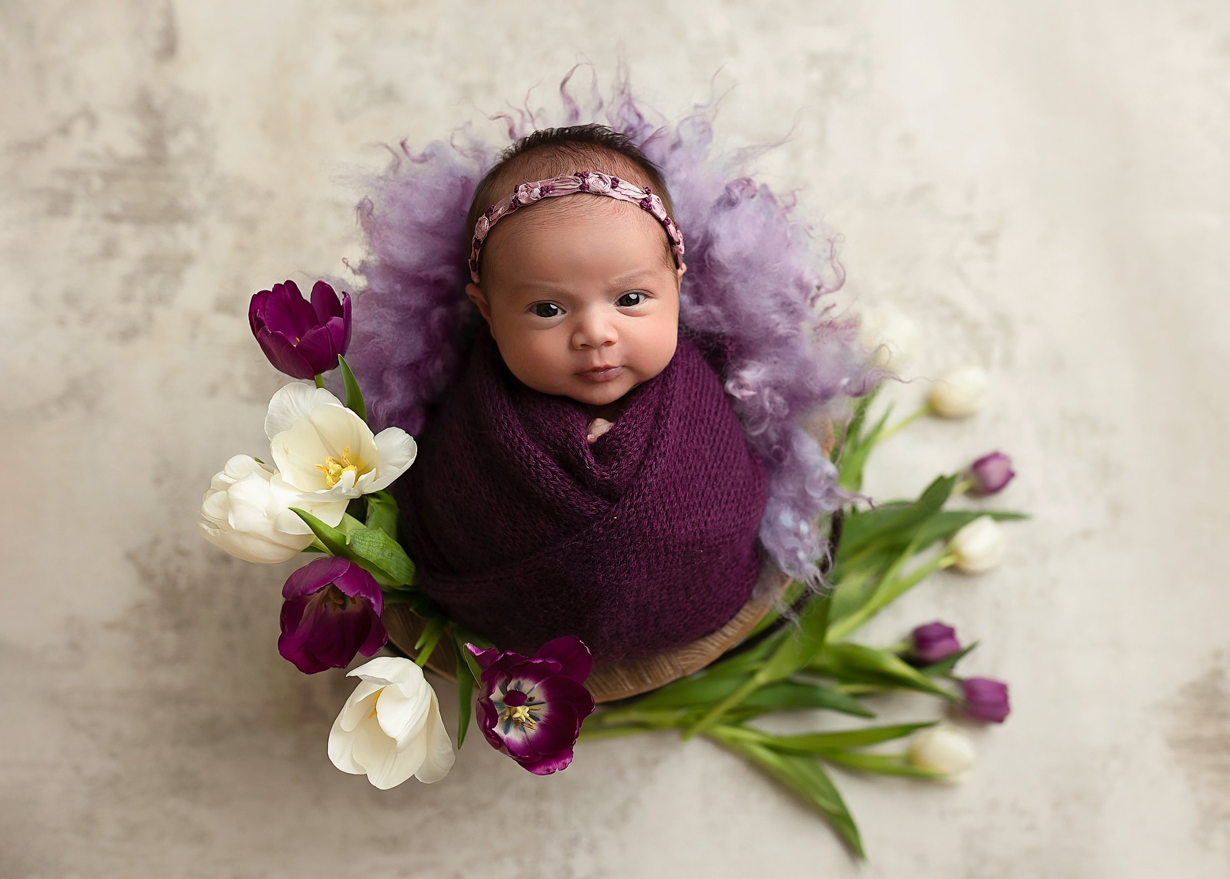 grapevine newborn photographer