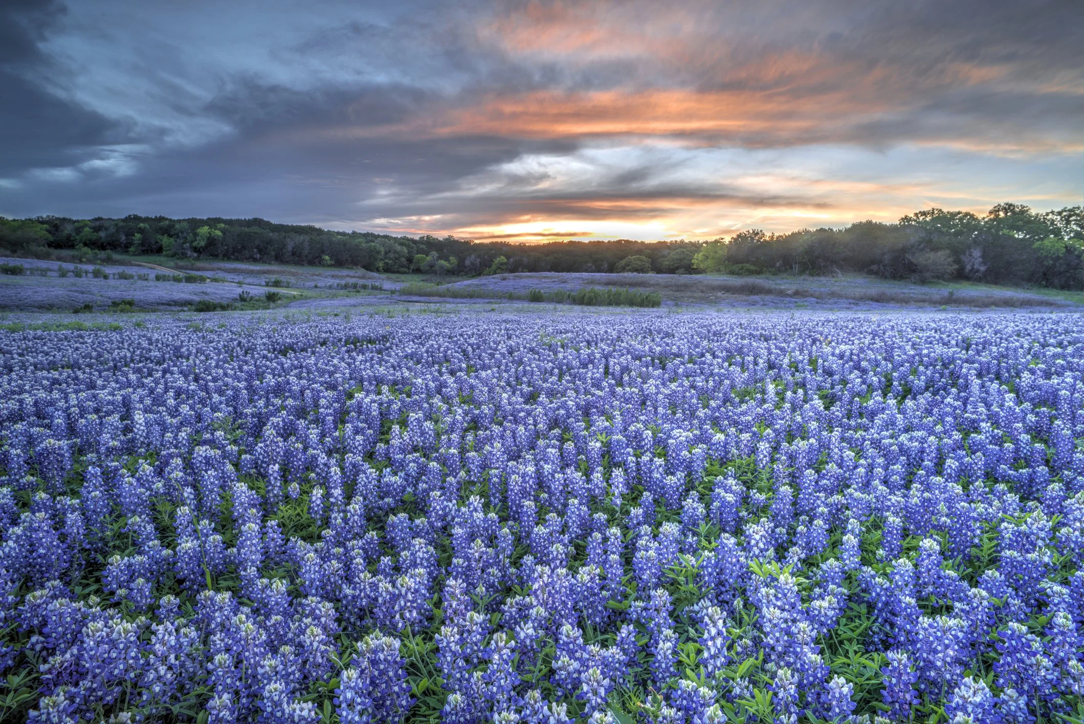 iStock-504748818.jpg