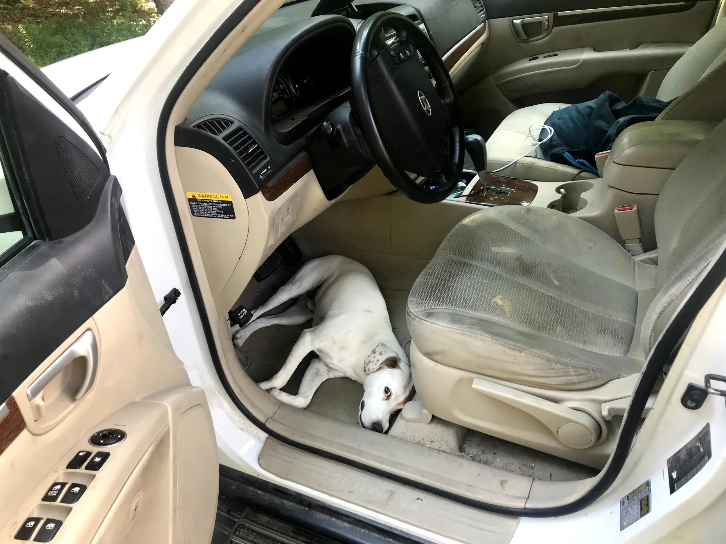 Day 56: Driving is Hard