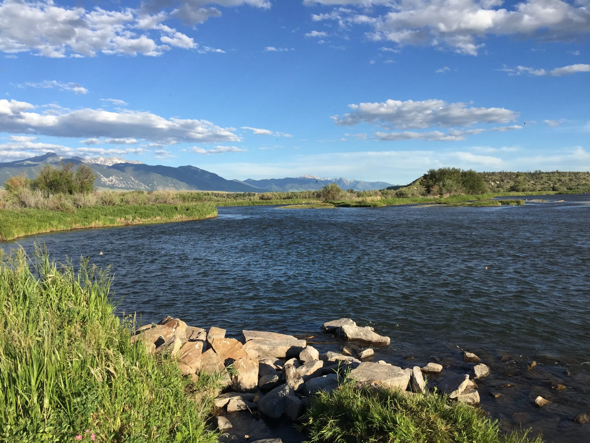 Madison upriver from Ennis Access.JPG