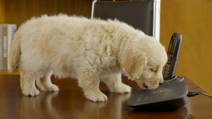 undefined-high (15).gif