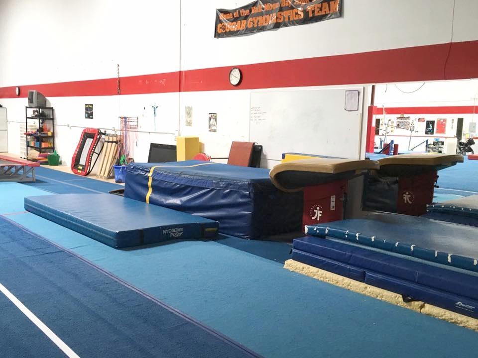 Main Gym - Vault