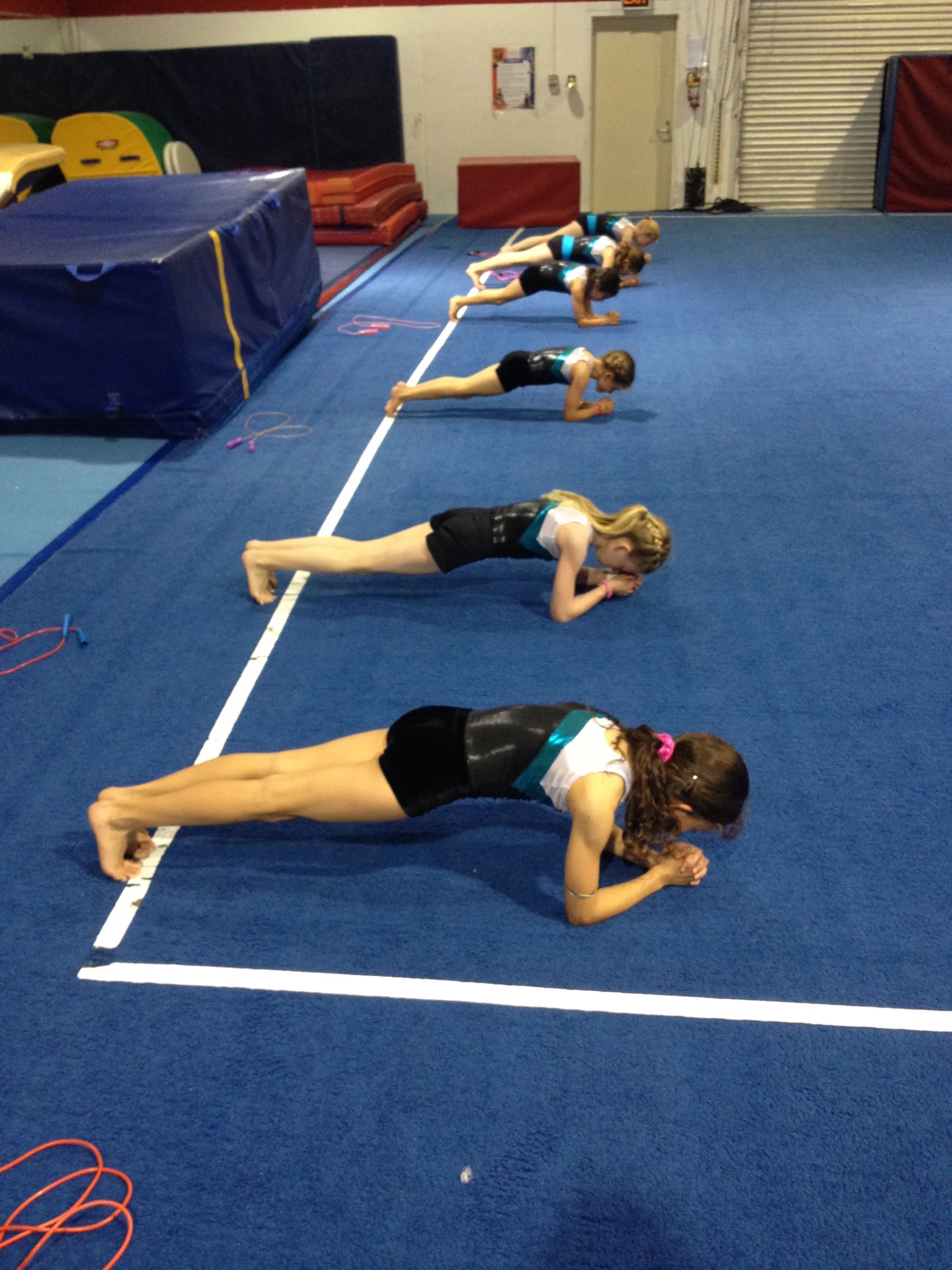 tm-plank.jpg