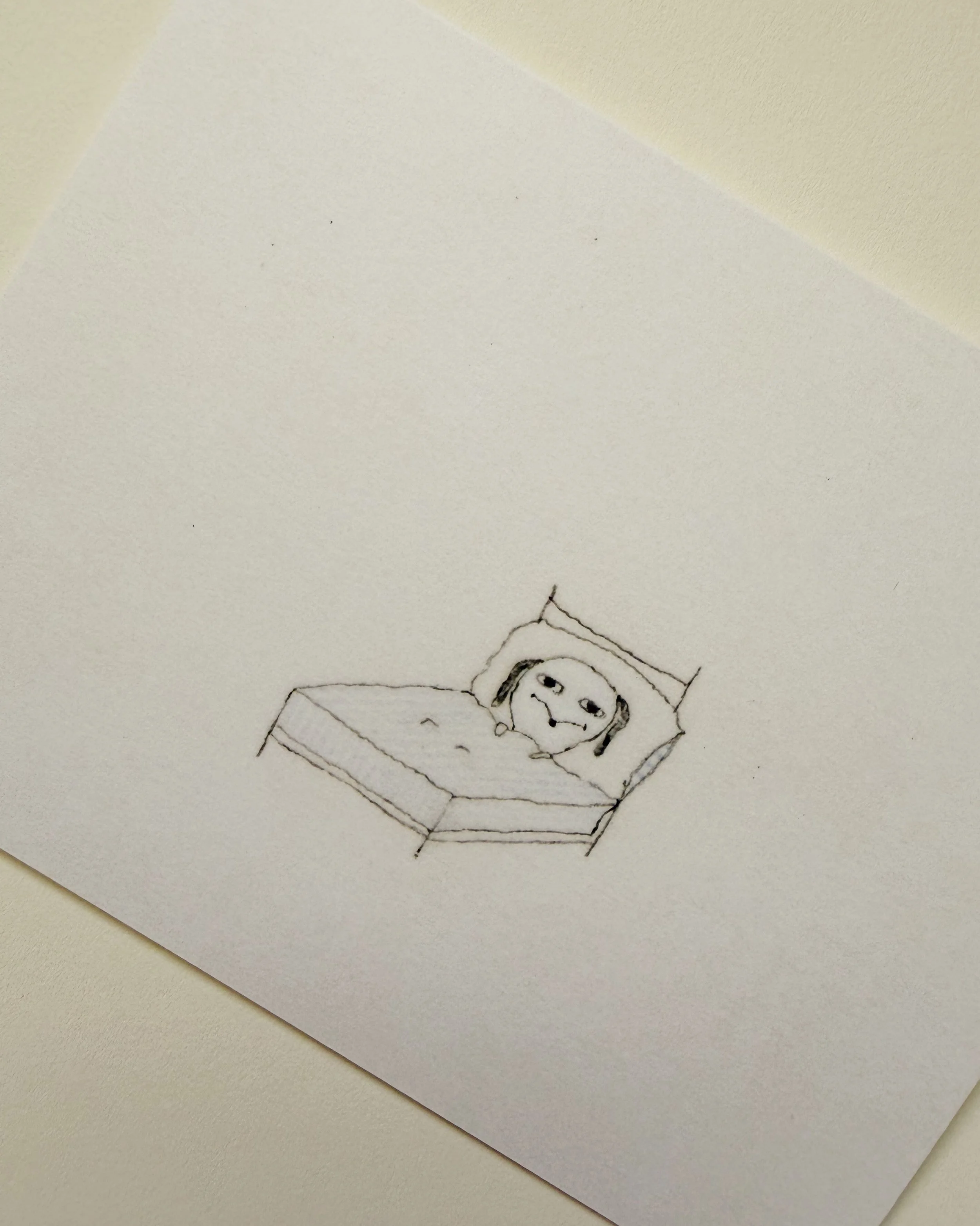 Dog in Bed Folded Card (Preorder)