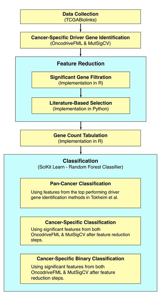 Classification of Cancer Type Based on Cancer-Specific vs. Pan-Cancer Driver Genes Using Machine Learning
