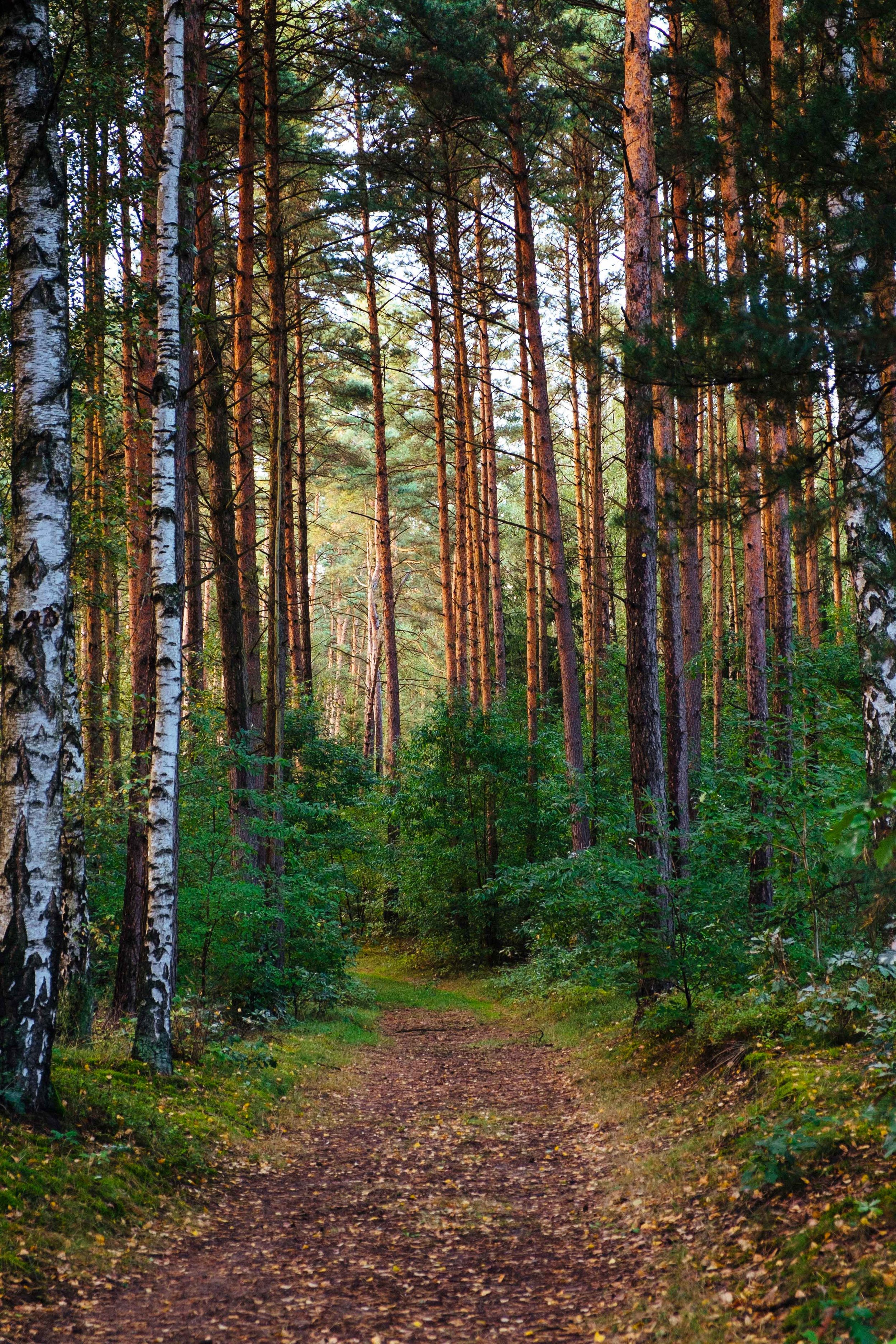 RUDITOWIROPHOTOGRAPHY_MISC-(2-of-28).jpg