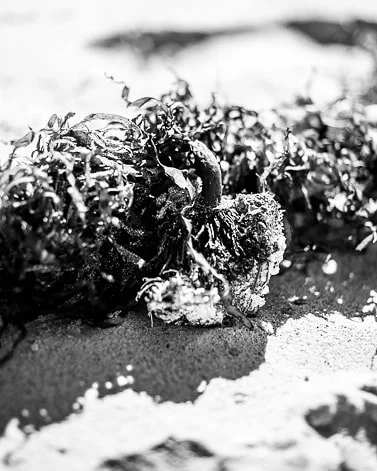 #blackandwhitephotography #landscapephotography #nature