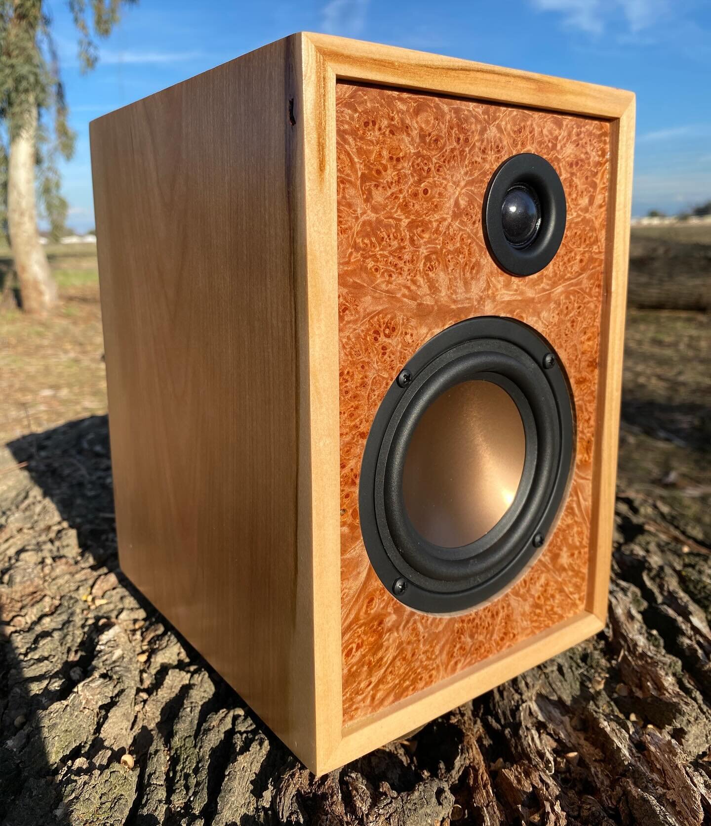 The shop in the cold, dark winter evenings tends to keep me away but the urge to create doesn&rsquo;t dissipate. This speaker project was a pleasant build at my desk after retiring the kids for the evening. The audio components arrived as a kit and i