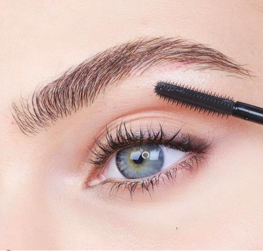 brows_closeup.png