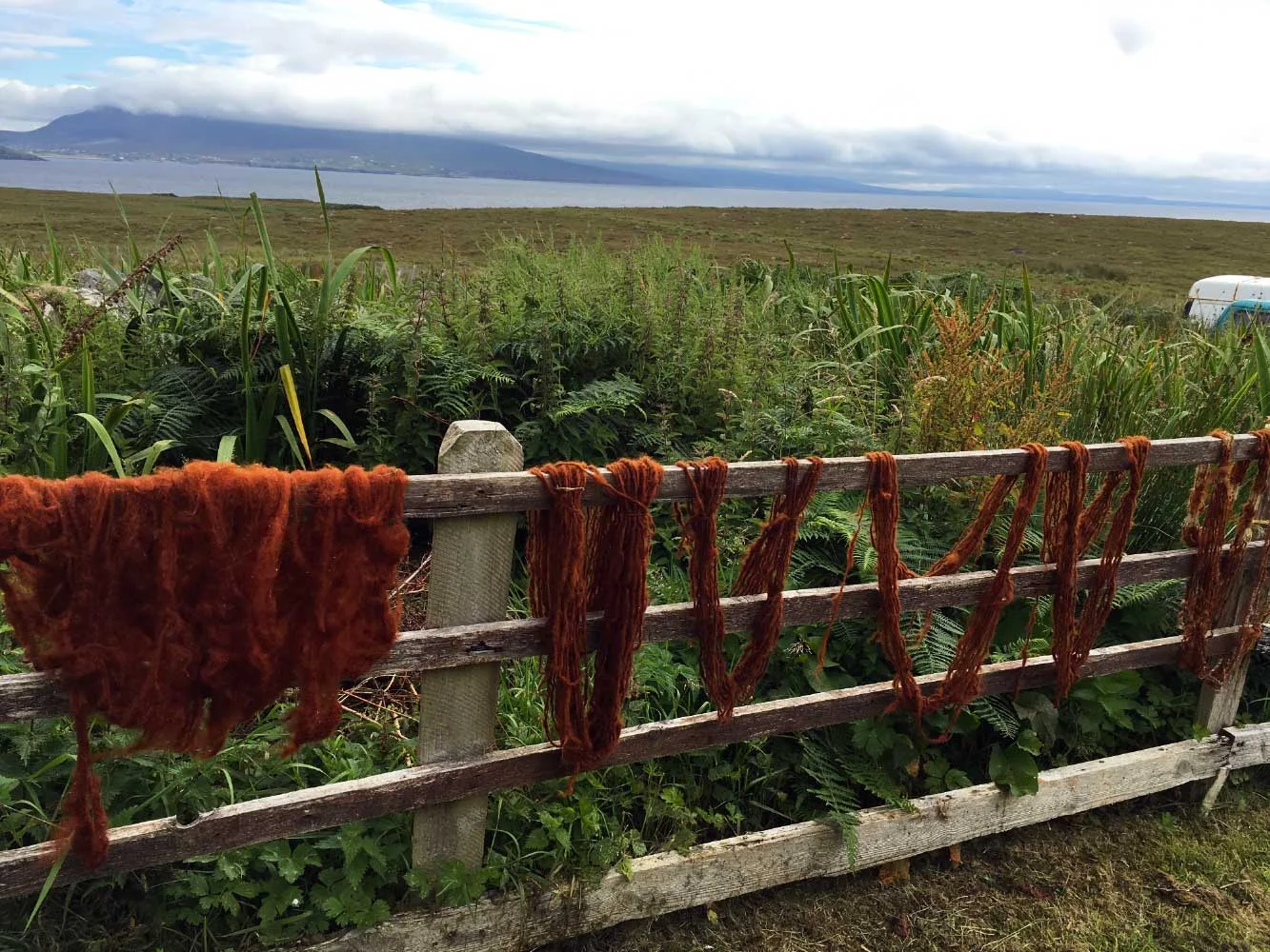 Natural Dyeing
