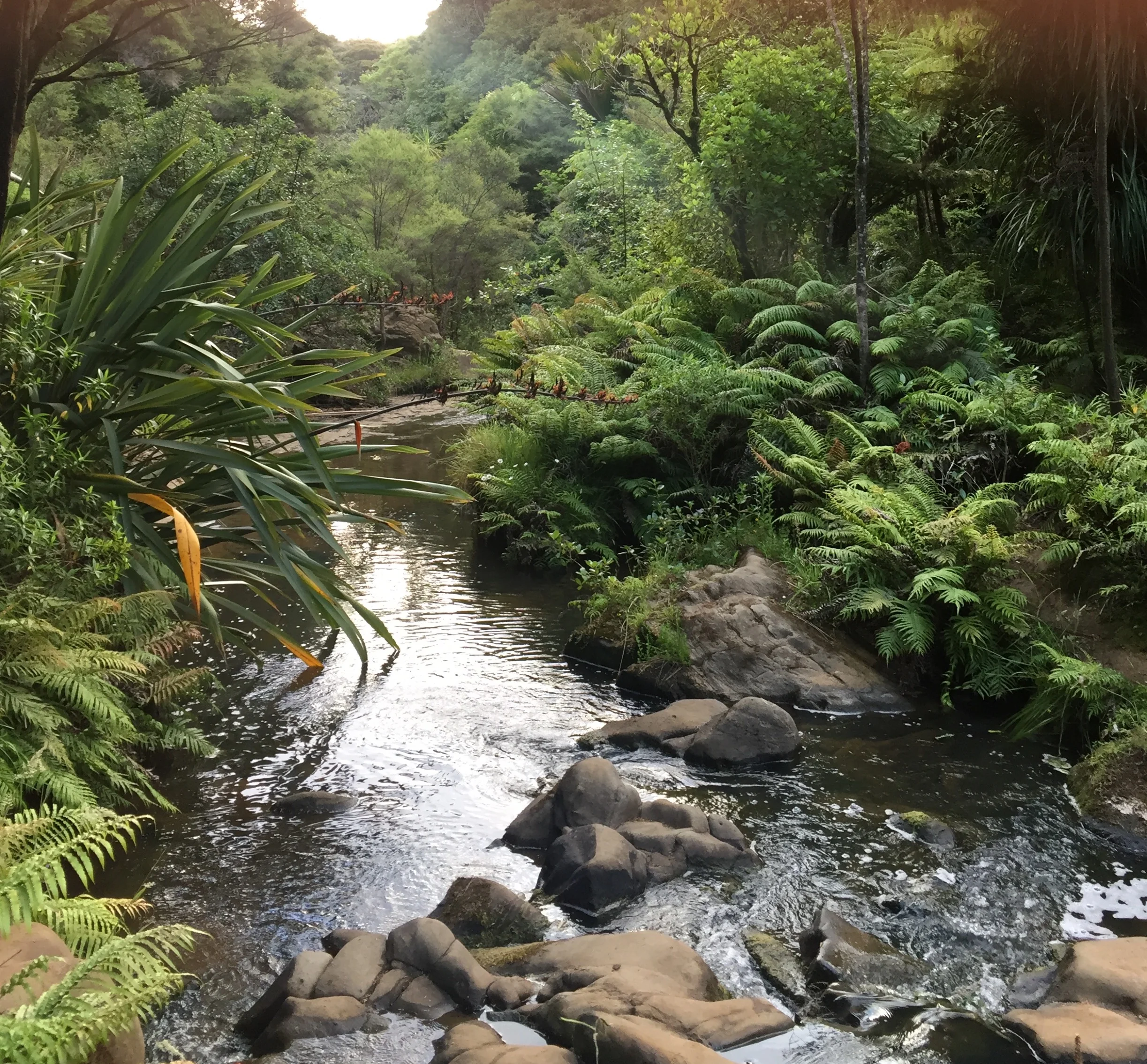 FullSizeRender 2.jpg