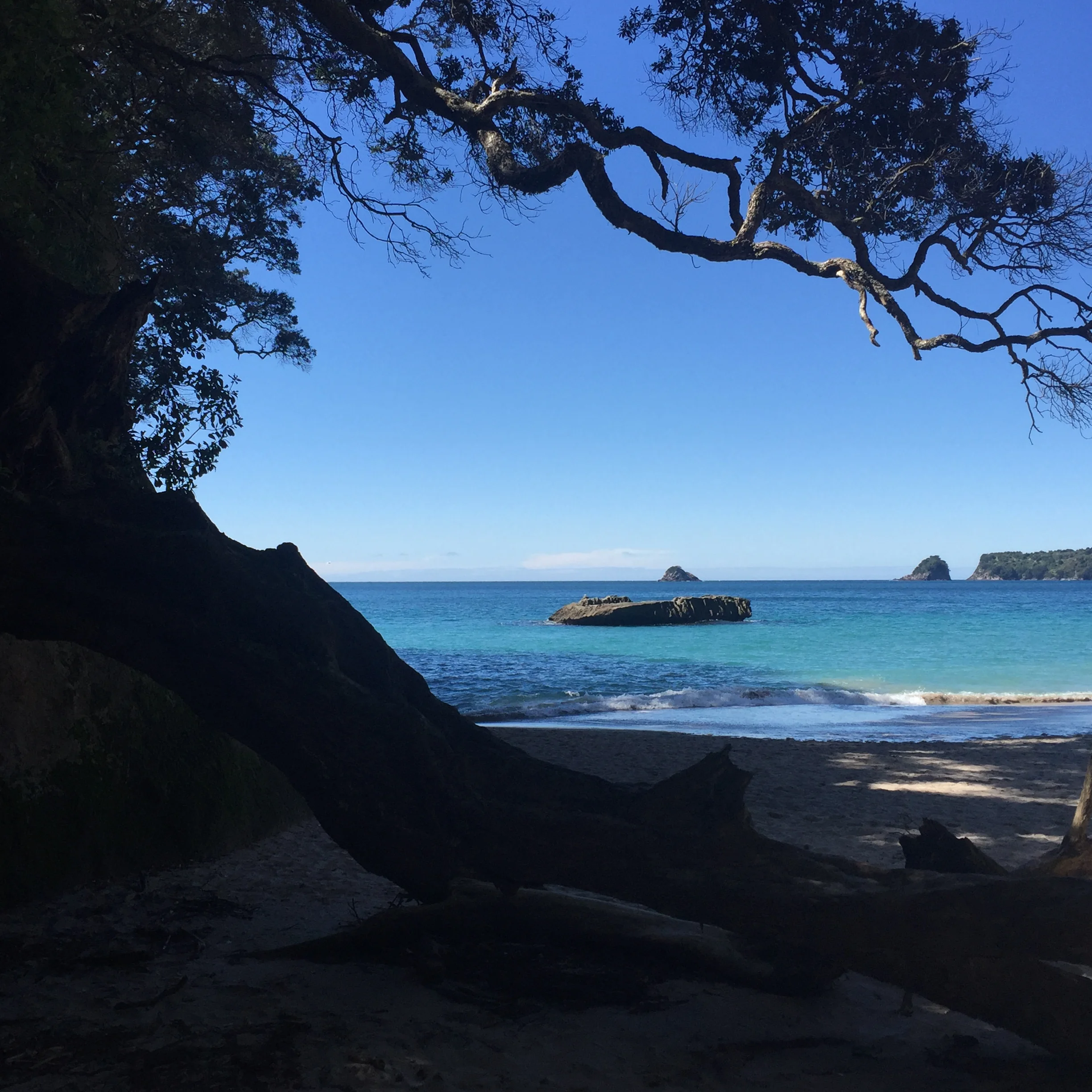 Cathedral Cove