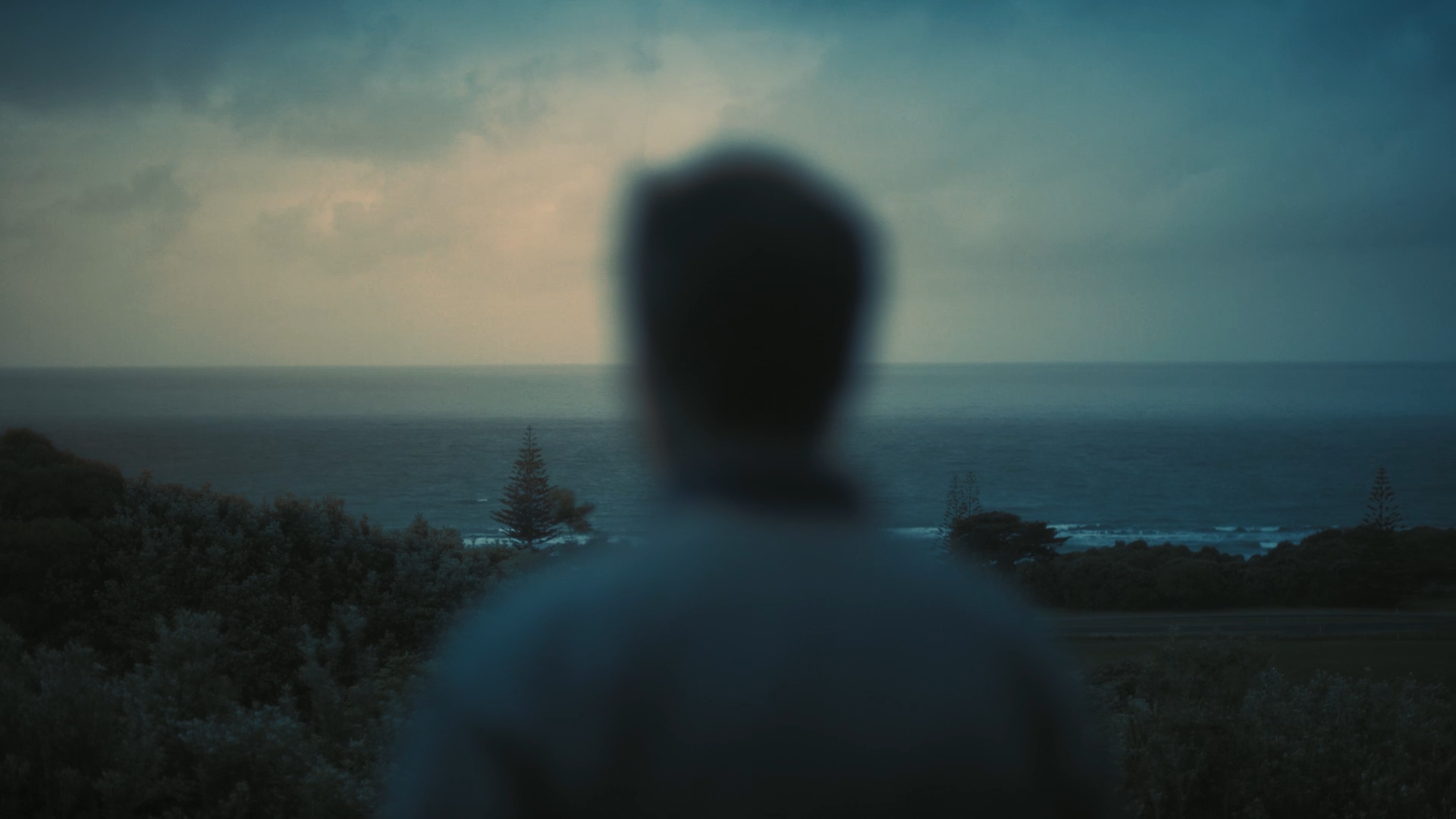 200131_Zespri_Craft film_Digital_Master.png