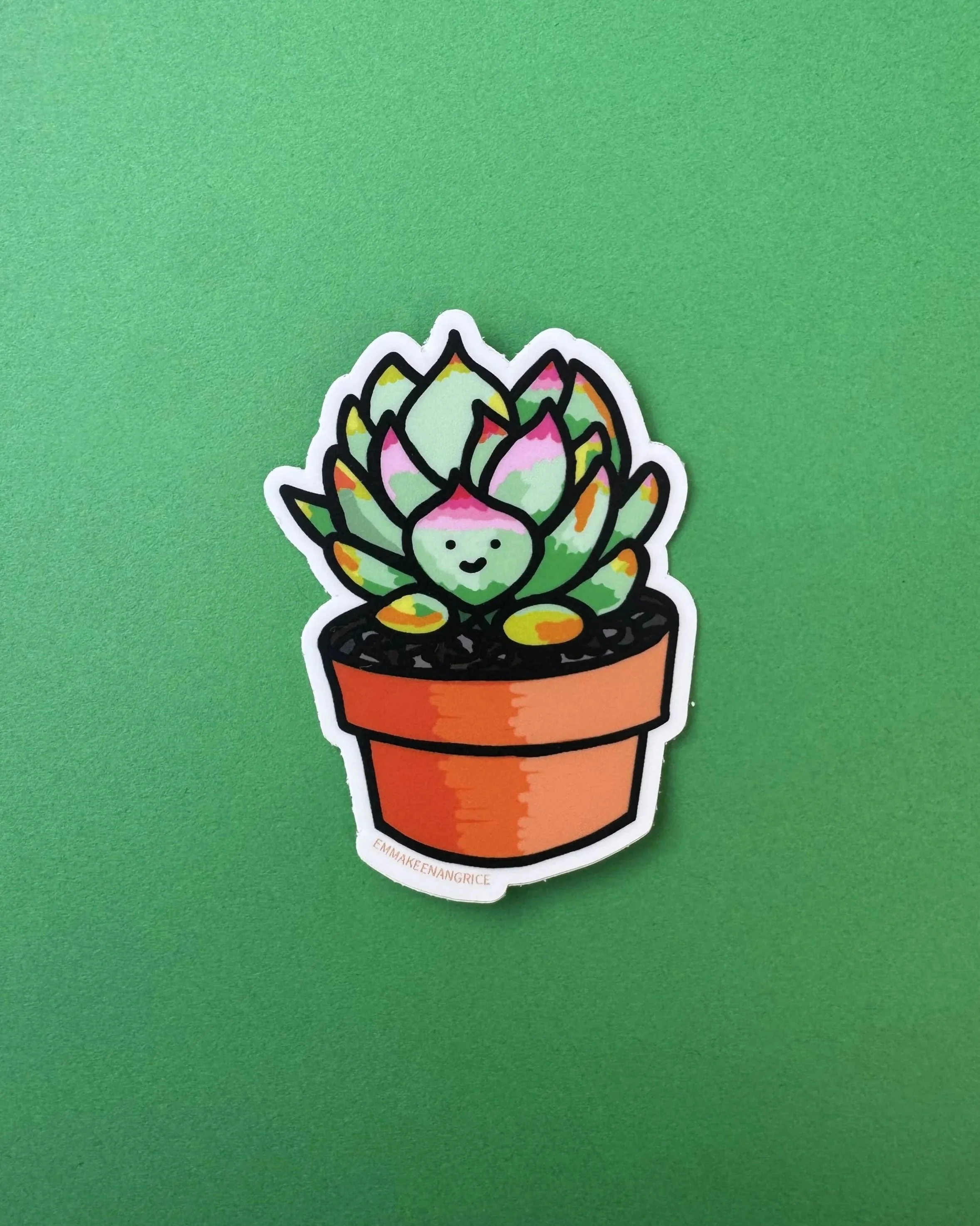 succulentplant.jpg