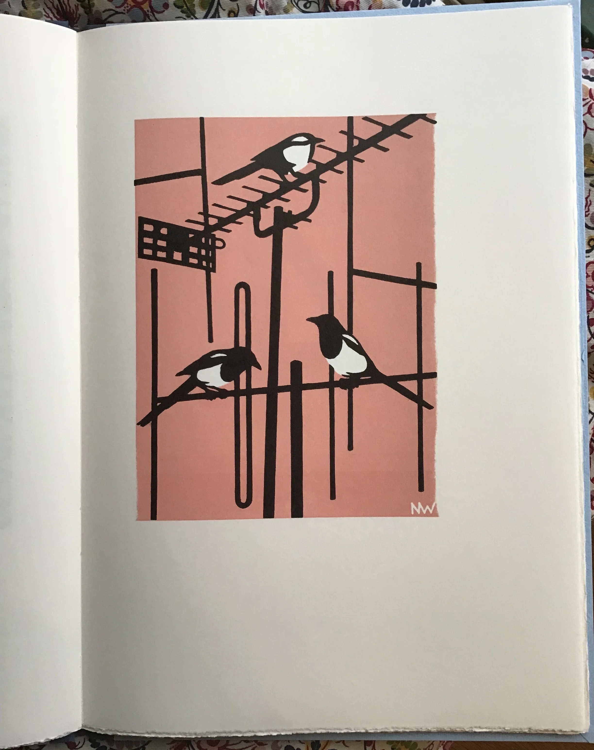 magpie_three.jpg