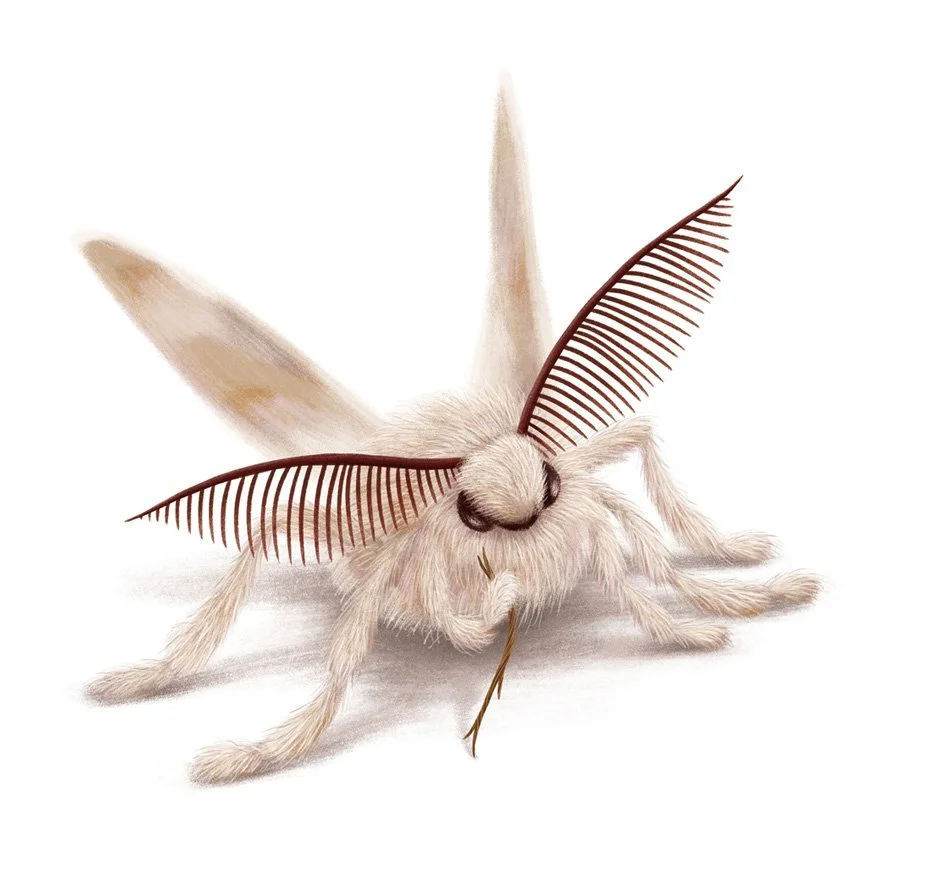 De Tuinen van Ginder - Coen Hamelink Rieks Veenker