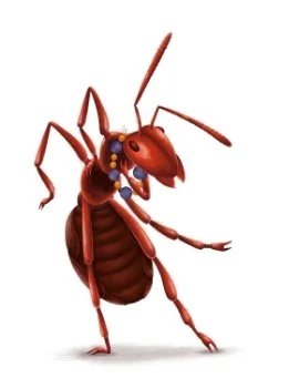 De Tuinen van Ginder - Coen Hamelink Rieks Veenker