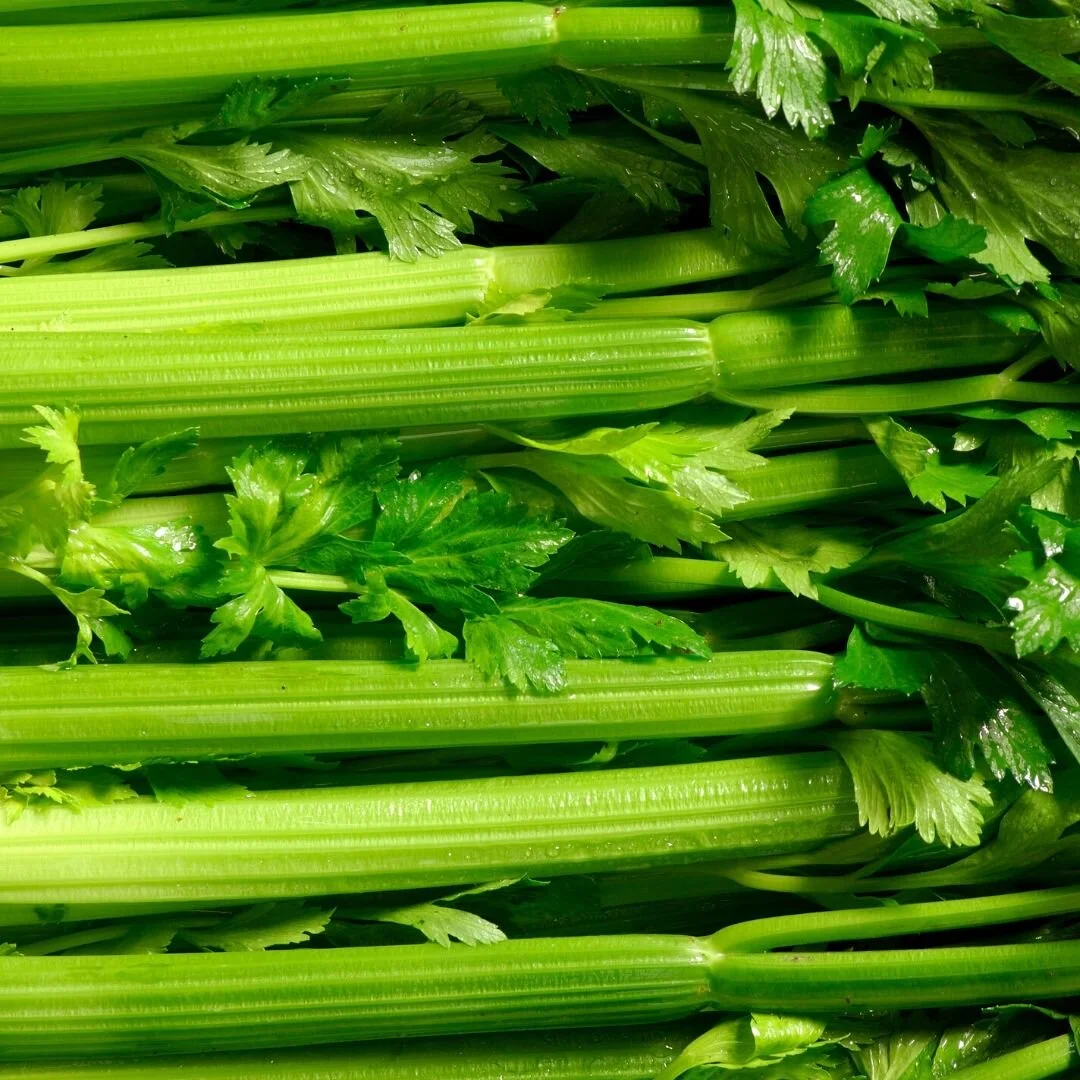 Celery