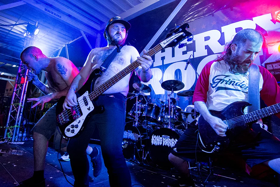 King Parrot #IMG_4235