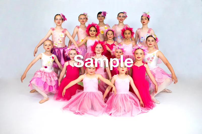 Pre Primary Cast B Fairies