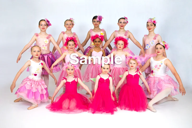 Kindy Cast C Fairies