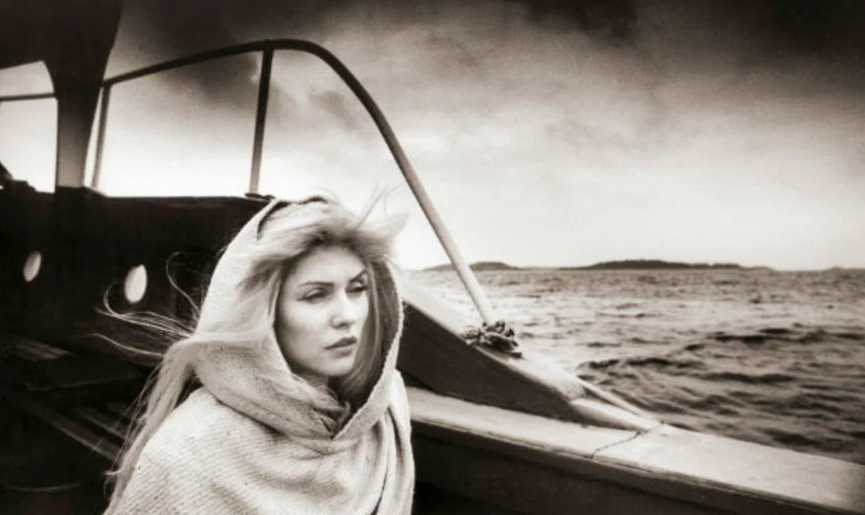 Blondie 1 copy.jpg