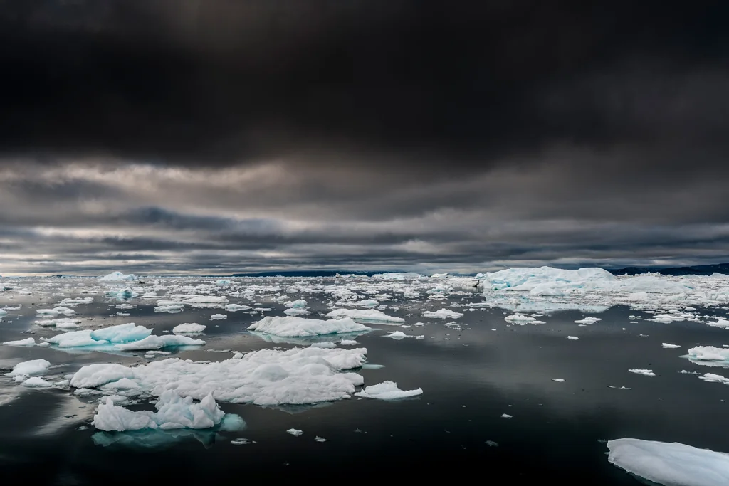 Icebergs floating in dark water