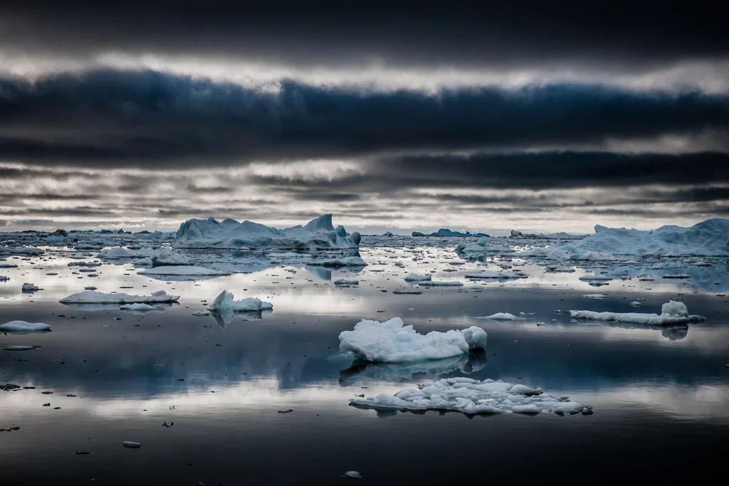Multitudes of icebergs floating out to sea